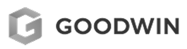 logo goodwin gris fond transparent